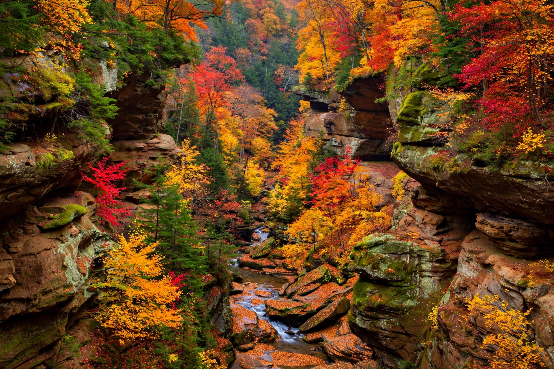 Ohio Fall Foliage 2026: Peak Dates & Best Spots