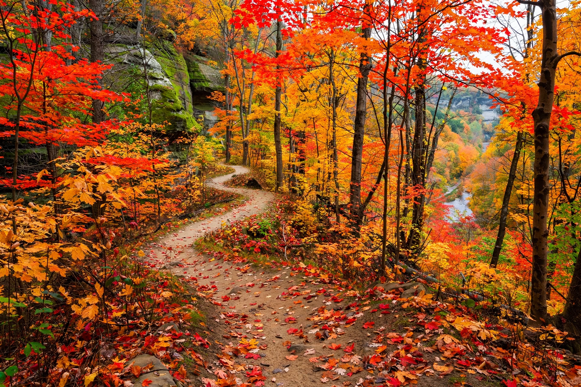 Cuyahoga Valley National Park hiking trail surrounded by peak Ohio fall foliage
