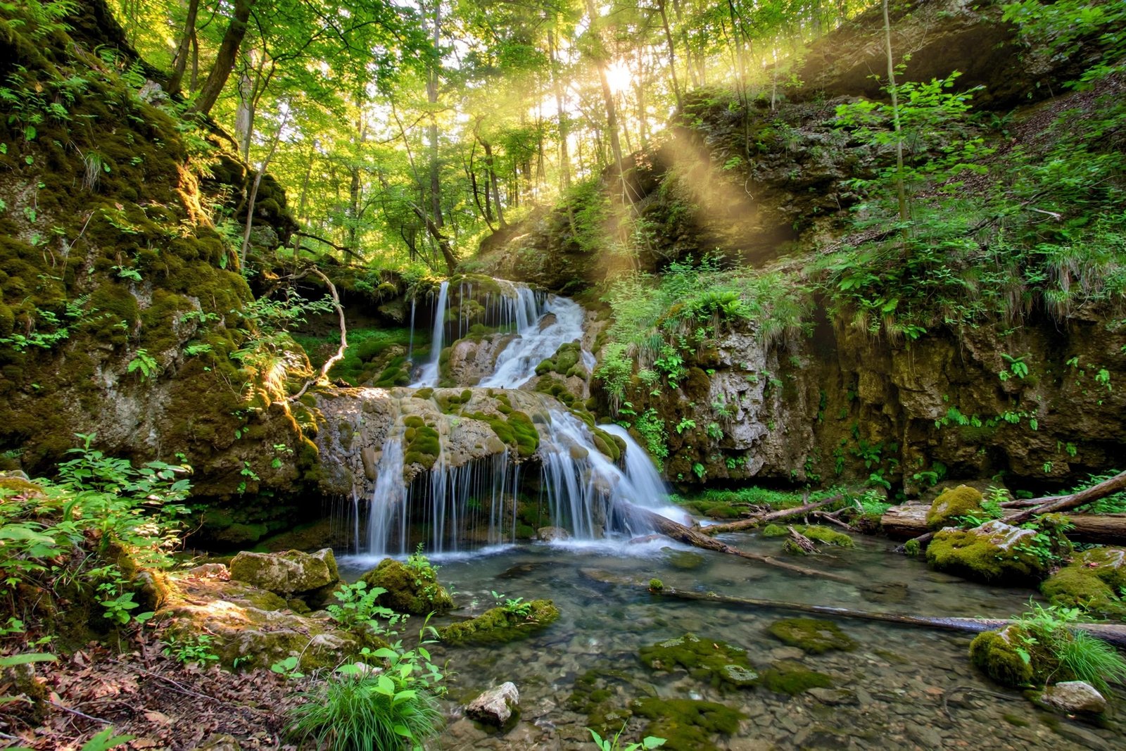 Where is Yellow Springs Ohio? Waterfall cascading over mossy rocks in Glen Helen Nature Preserve